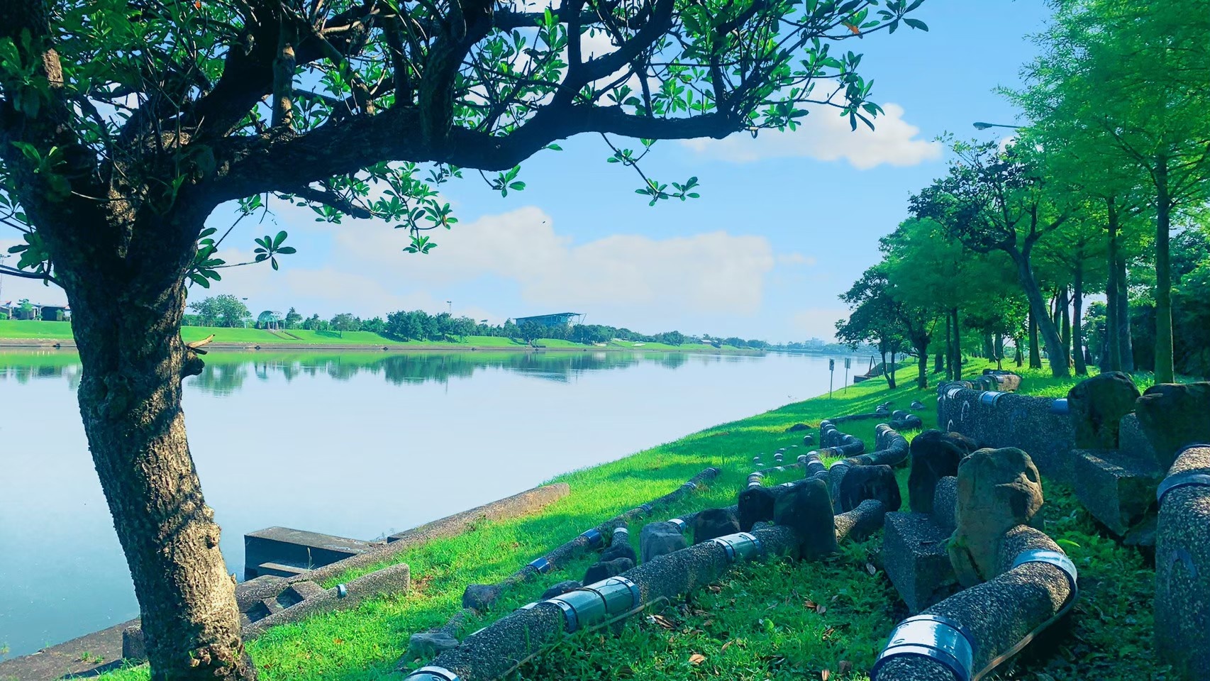 冬山河畔步道與樹蔭